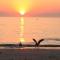 Milkwood Cottage, Beachfront family vacation home, Sleeps 6