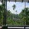 Nine Arch Jungle Inn