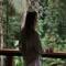 Fauna Lodge