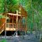 Foto: Tree House Bungalow 19/87