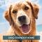 IC1 Little Lifeboat House Dog Friendly
