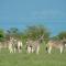 Safarihoek Lodge