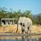 Safarihoek Lodge