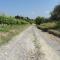 Poggio Novello