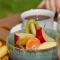 Noortweghe GLAMPING