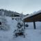 Chalet Jonquille