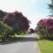 Tresco - B6520