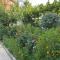 Guest House PIROSMANI