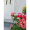 Apartament Teuta
