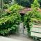 ký ức tươi đẹp homestay