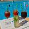 Hotel Les Jardins de Bormes, sauna & jacuzzi