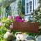 B&B Rosindell