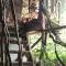 Sierra Tayrona hostel