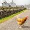 Gorse Hill Farm