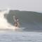 Alens Stay&surf
