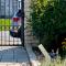 Eremes Rooms & Apartments