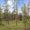 Evergreen Lodge Home