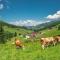 Haus am Wildbach