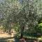 New Holiday House, near Makarska