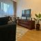 Studio PANORAMIC with Balcony and Parcul Unirii view