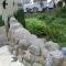 Cashen Course House V31 RR40