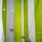 Hostal Makea Pachuca