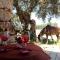 Delle Rose, Hotel & Horse Riding