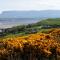 Lough Gara Lodge Self Catering