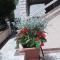 Apartment Fazana 11