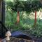 Artsy Cabin on Organic Farm
