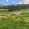 Tilba Farm Farmhouse