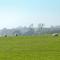 The Shearing Shed