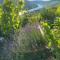 Apartment an der Mosel 2