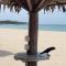 Anandas Beach Resort