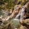 Himalayan Wooden Cottage camping & Cafe Dalhousie