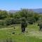 Agriturismo Kikajon