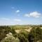 Villa in France with Vineyards and Nature Views