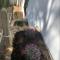 T2 · Sunny duplex with garden 50m from beach