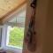 Riza Guest House