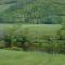Cajun Cedar Log Cottages Ltd