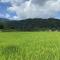 Ta Phin Homestay