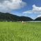 Ta Phin Homestay