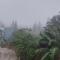 Kuas Pad Tagaytay