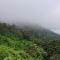 Minca Sintropia - Sustainable Lodge & Organic Coffee Finca