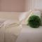 Guesthouse Olei
