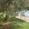 Apartments Marija - Maslenica - first line to the sea