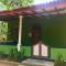 Green Bamboo House