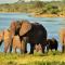 Muchenje Self Catering Cottages