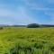 4 Bed in Bamburgh 83373