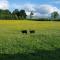 1 Bed in Ullswater 94064